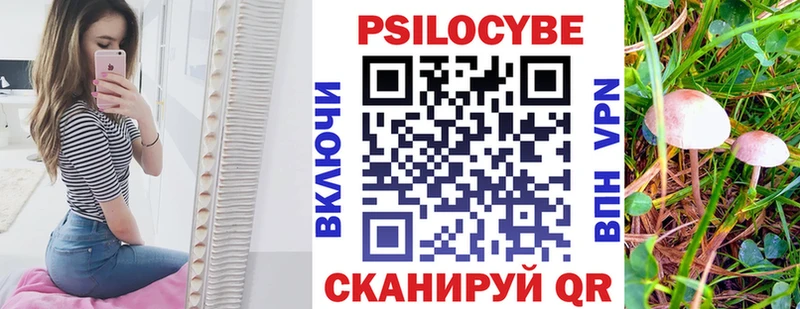 Галлюциногенные грибы Psilocybe  купить закладку  Катав-Ивановск 
